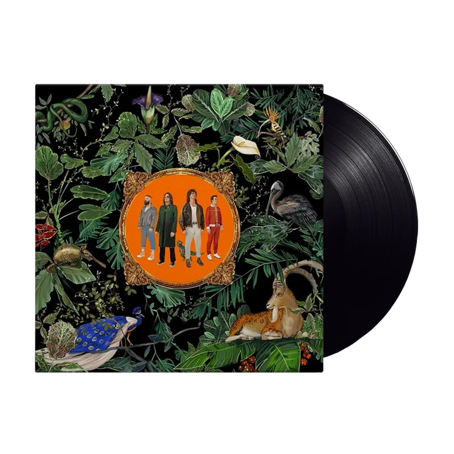 Amazing Things: Vinyl LP