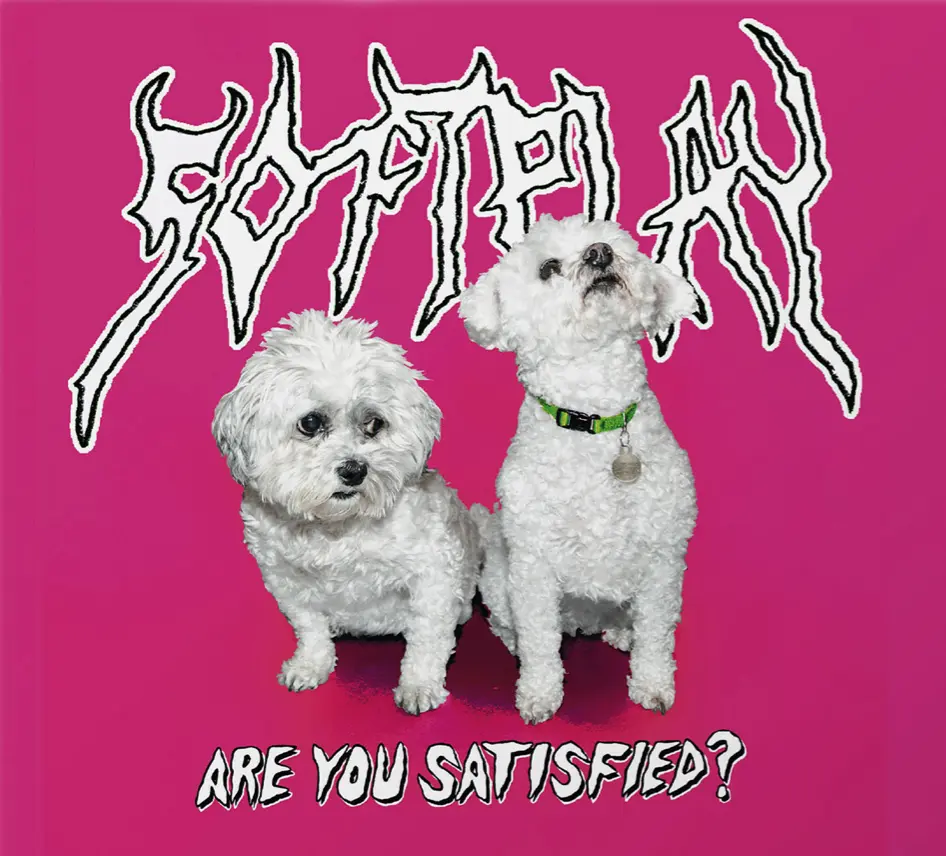 Are You Satisfied? (10th Anniversary): Limited Pink & Yellow Vinyl 2LP - Image 2