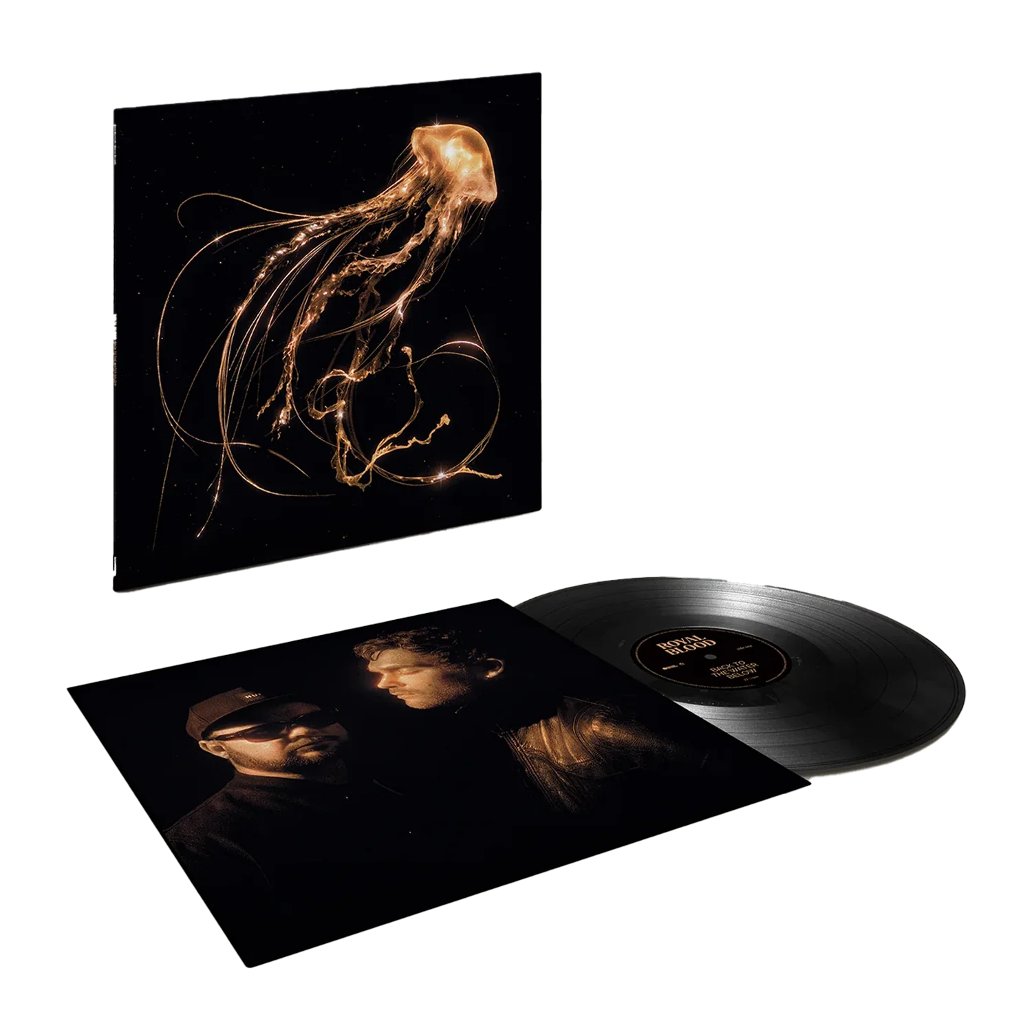 Back To The Water Below: Vinyl LP