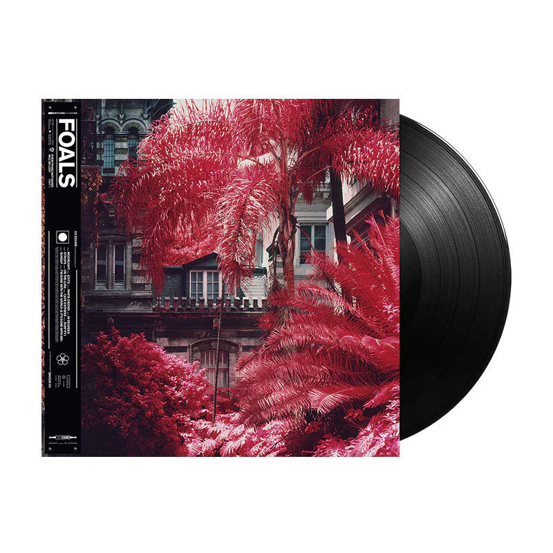 Everything Not Saved Will Be Lost - Part 1: Vinyl LP
