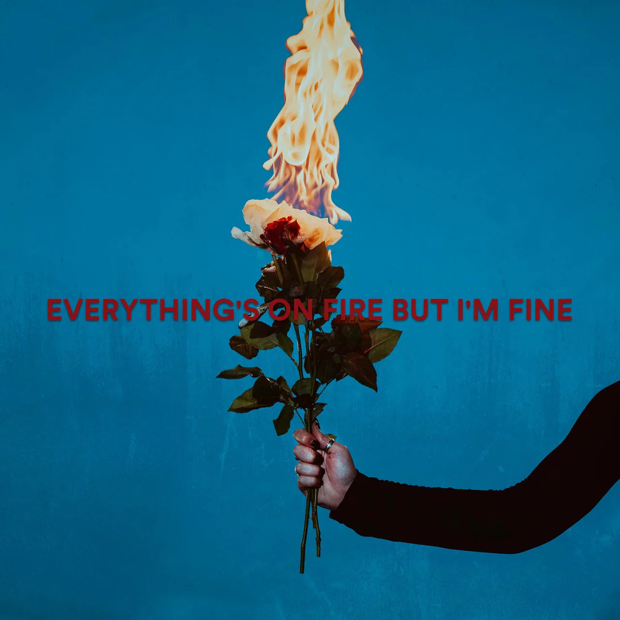 Everything's On Fire But I'm Fine: Limited Red Marble Vinyl LP - Image 2