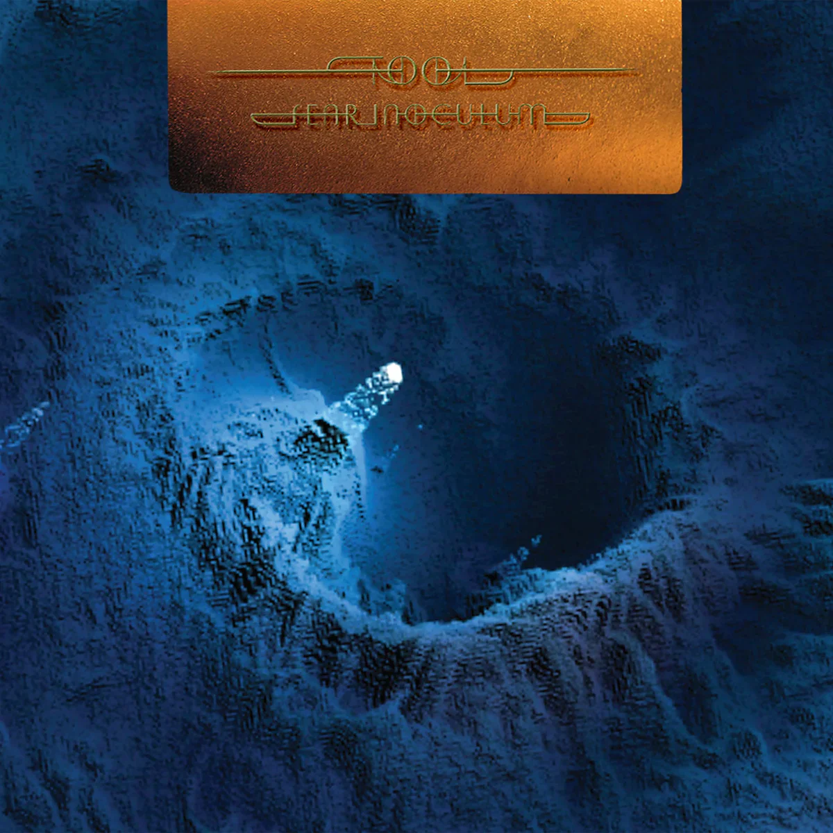 Fear Inoculum: Limited 5LP Box Set - Image 2