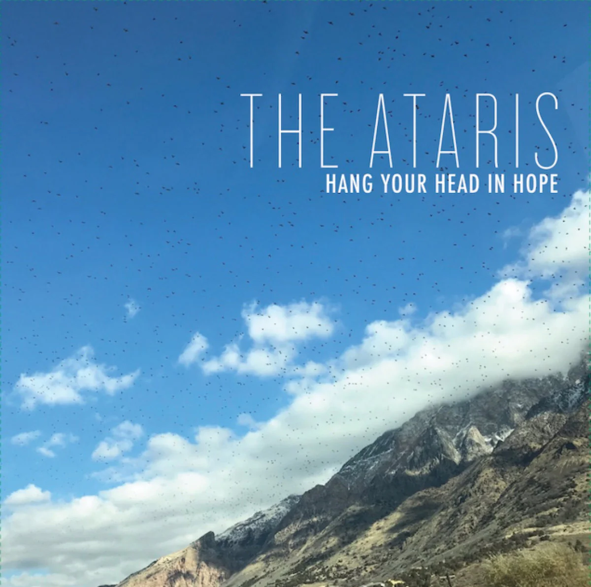 Hang Your Head in Hope - The Acoustic Sessions: Limited Blue w/ White Splatter Vinyl LP - Image 2