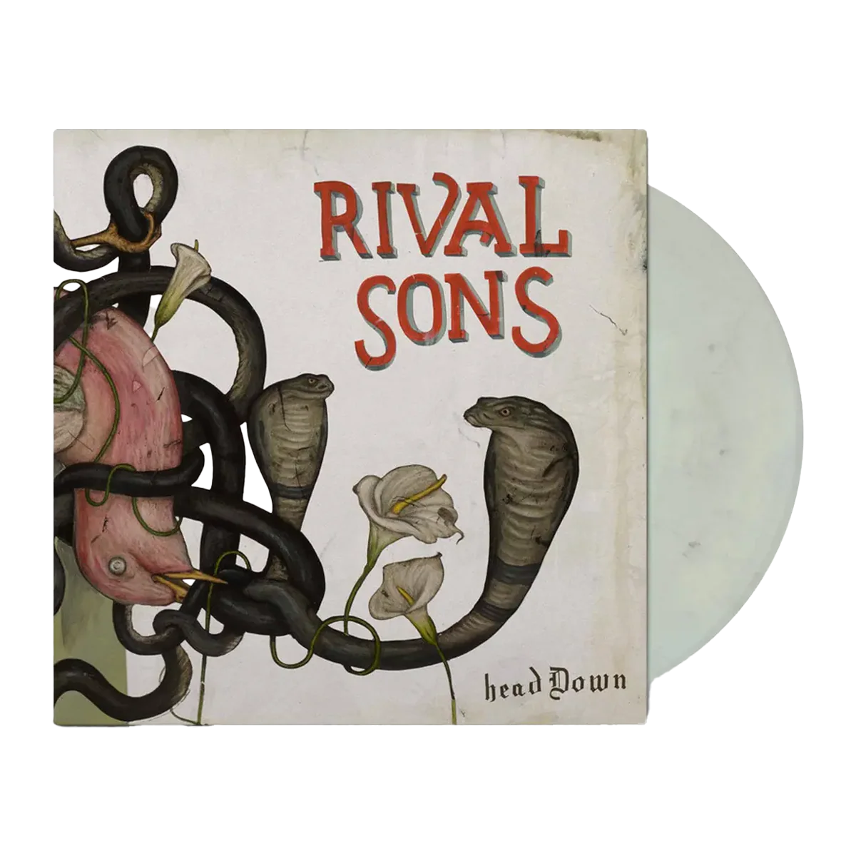 Head Down: Limited 'California Kingsnake' Colour Vinyl 2LP