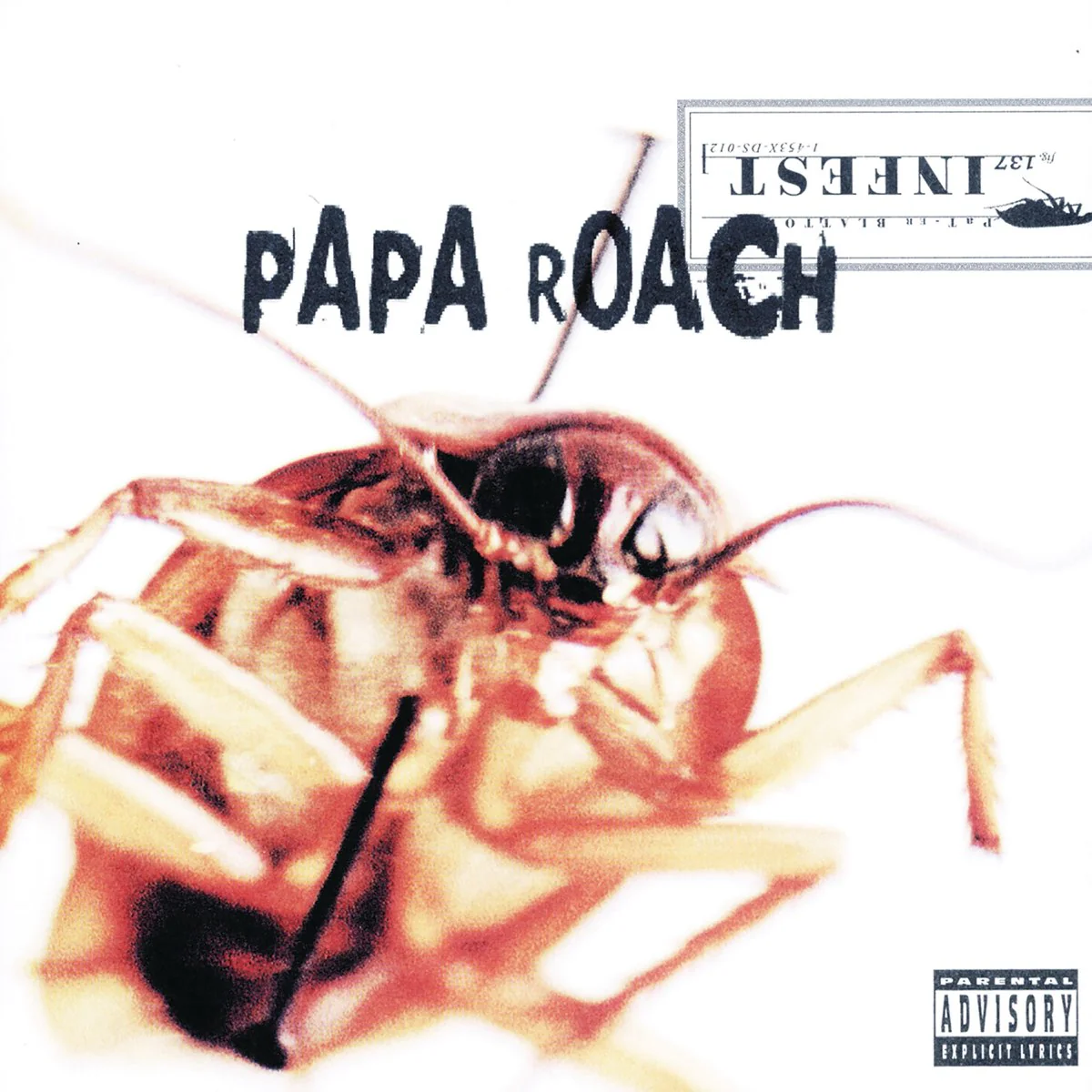 Infest: Vinyl LP - Image 2