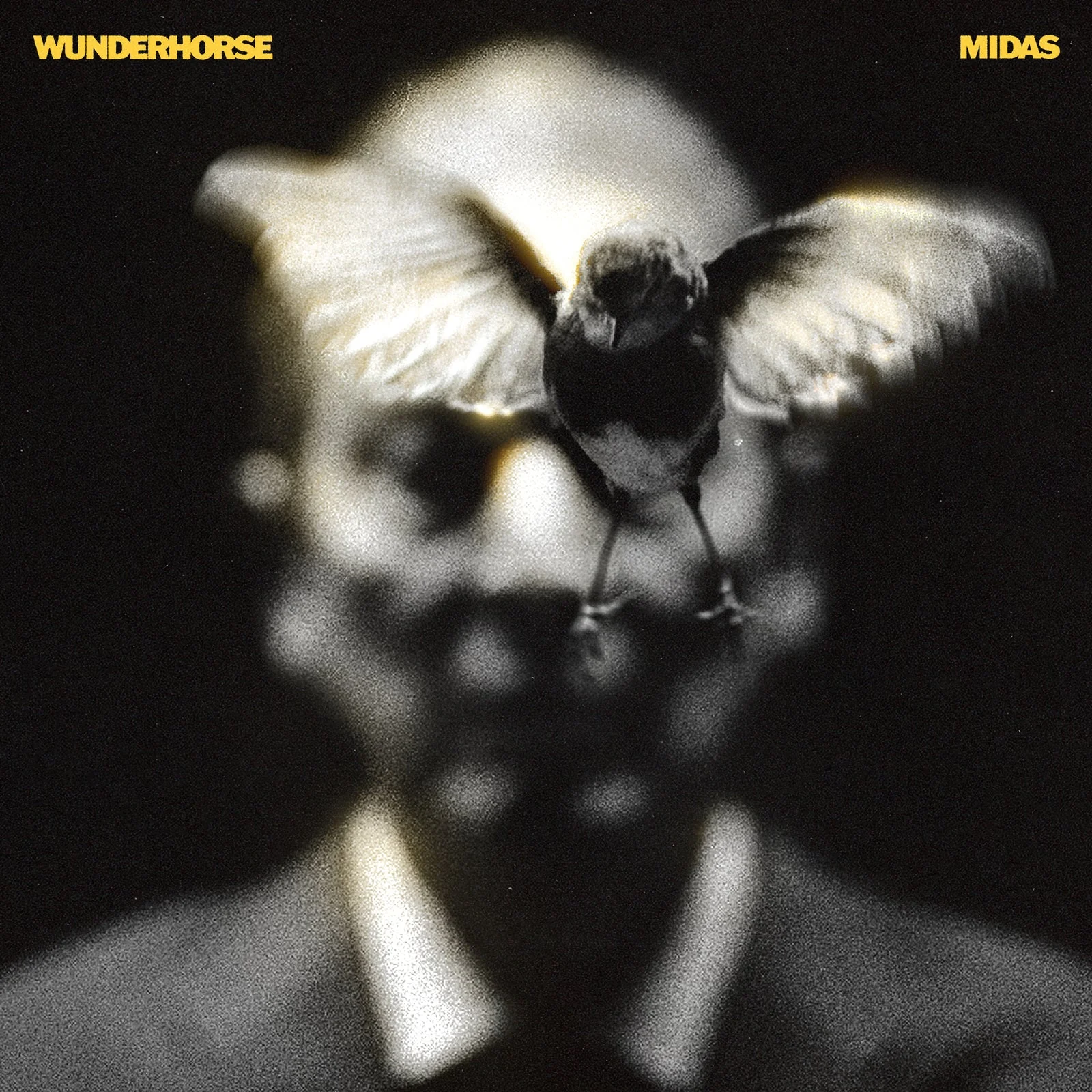 Midas: Vinyl LP - Image 2