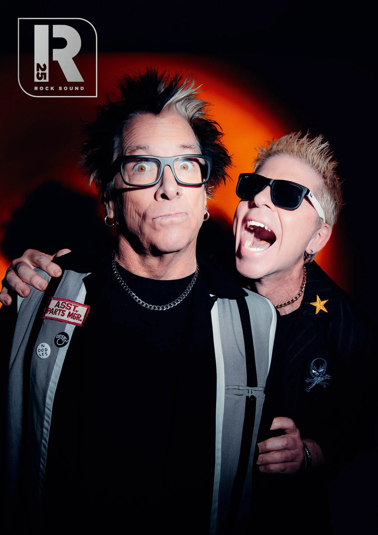 Issue #311 (25 Icons - The Offspring)
