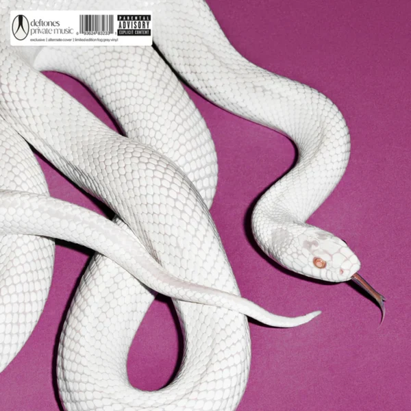 Private Music: Limited 'Fog White' Vinyl LP (w/ Alt Cover) - Image 2