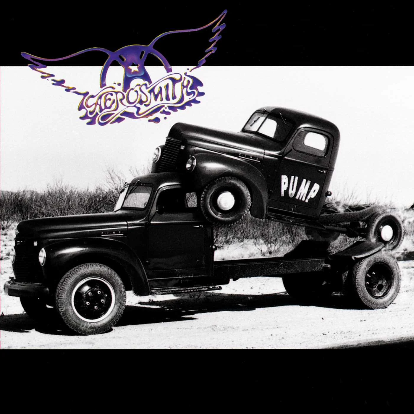 Pump: Vinyl LP - Image 2