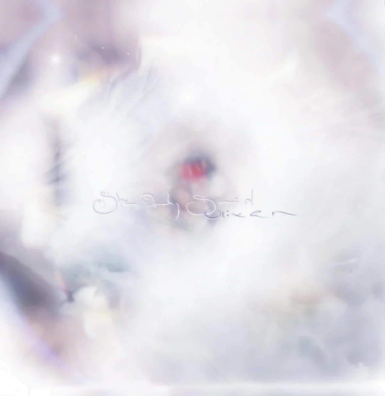 She Only Said: Vinyl LP - Image 2