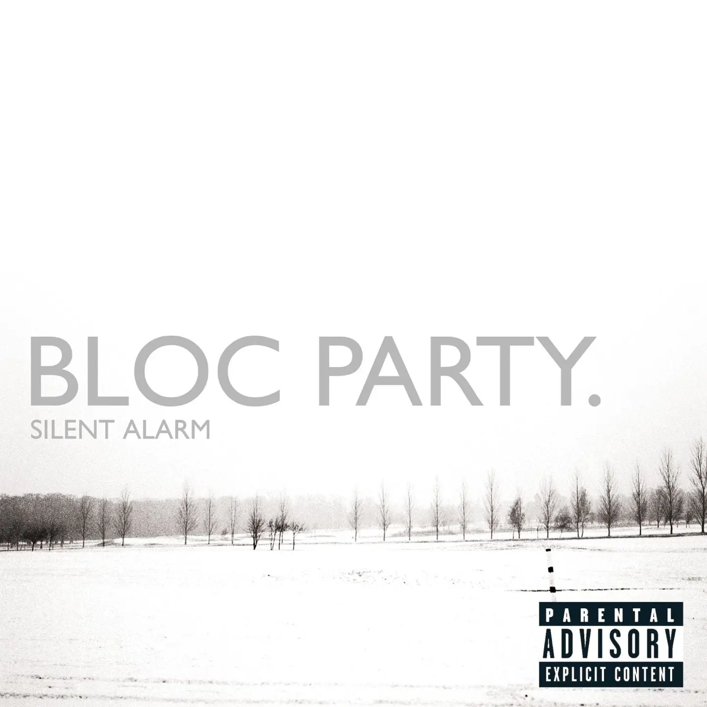Silent Alarm (20th Anniversary): Limited White Vinyl 2LP - Image 2