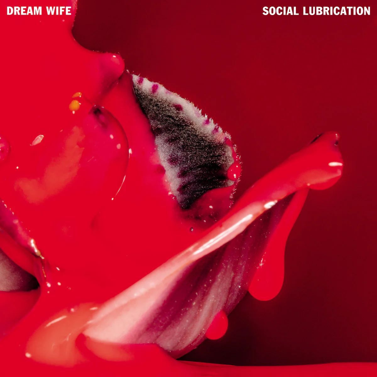 Social Lubrication: Limited Deep Red Vinyl LP - Image 2