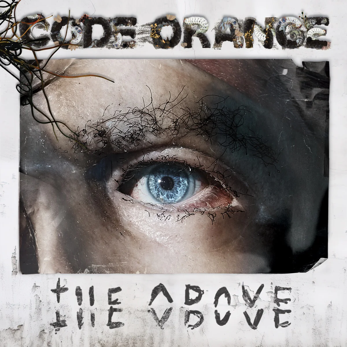 The Above: Limited Cream Vinyl LP - Image 2