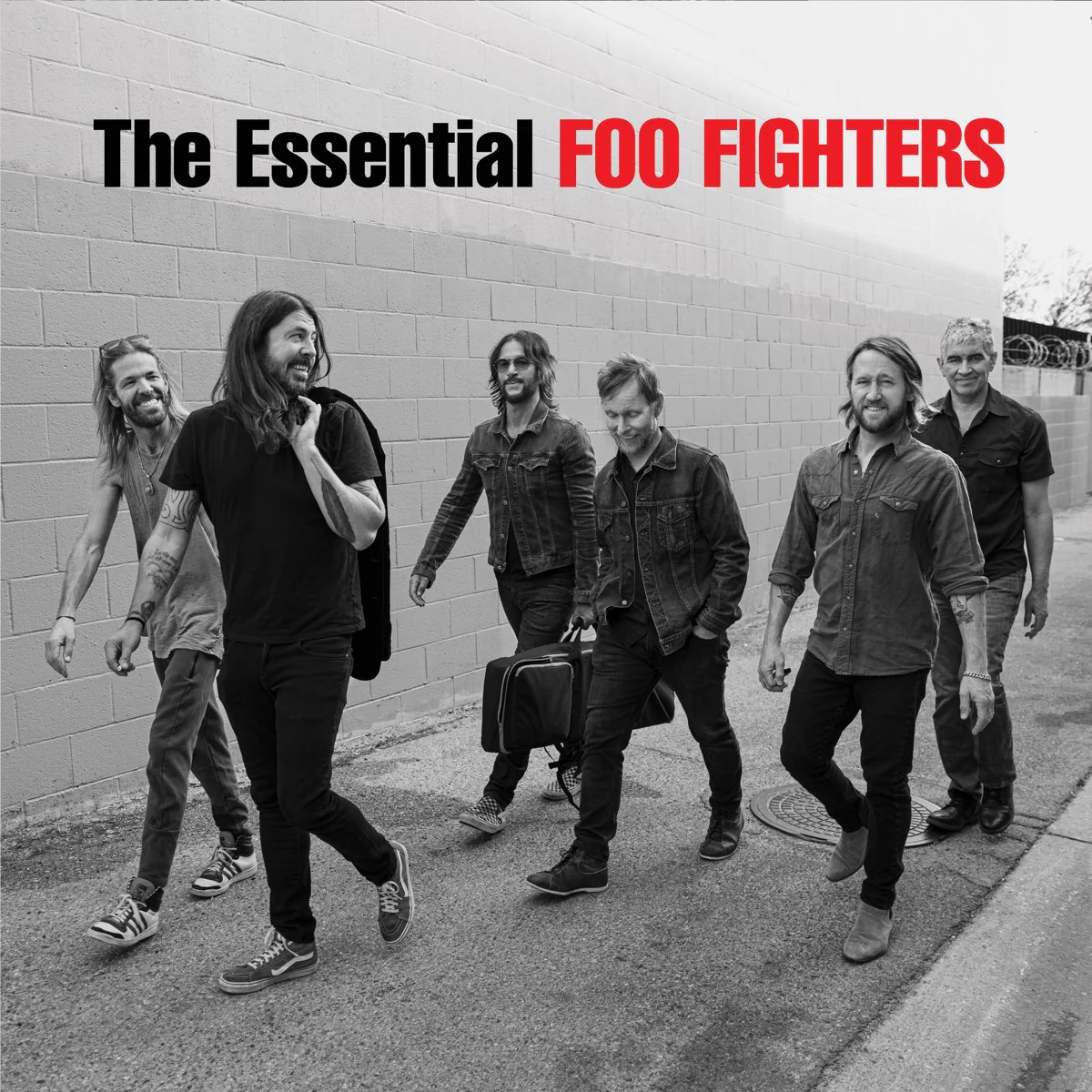The Essential Foo Fighters: Vinyl 2LP - Image 2