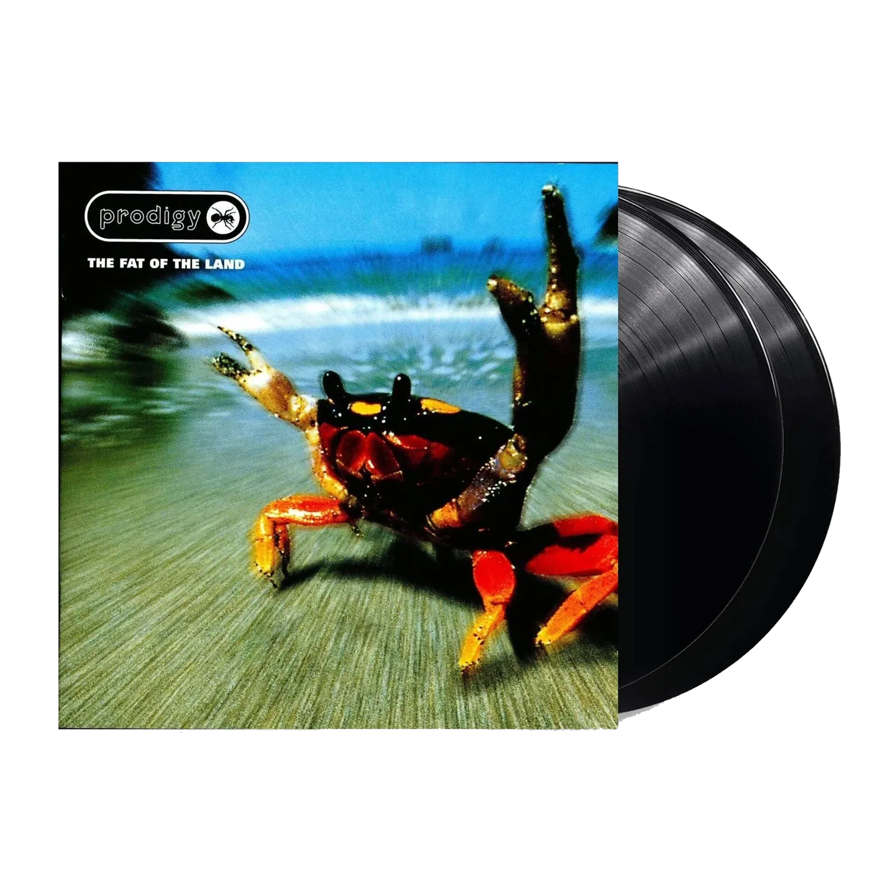 The Fat Of The Land: Vinyl 2LP