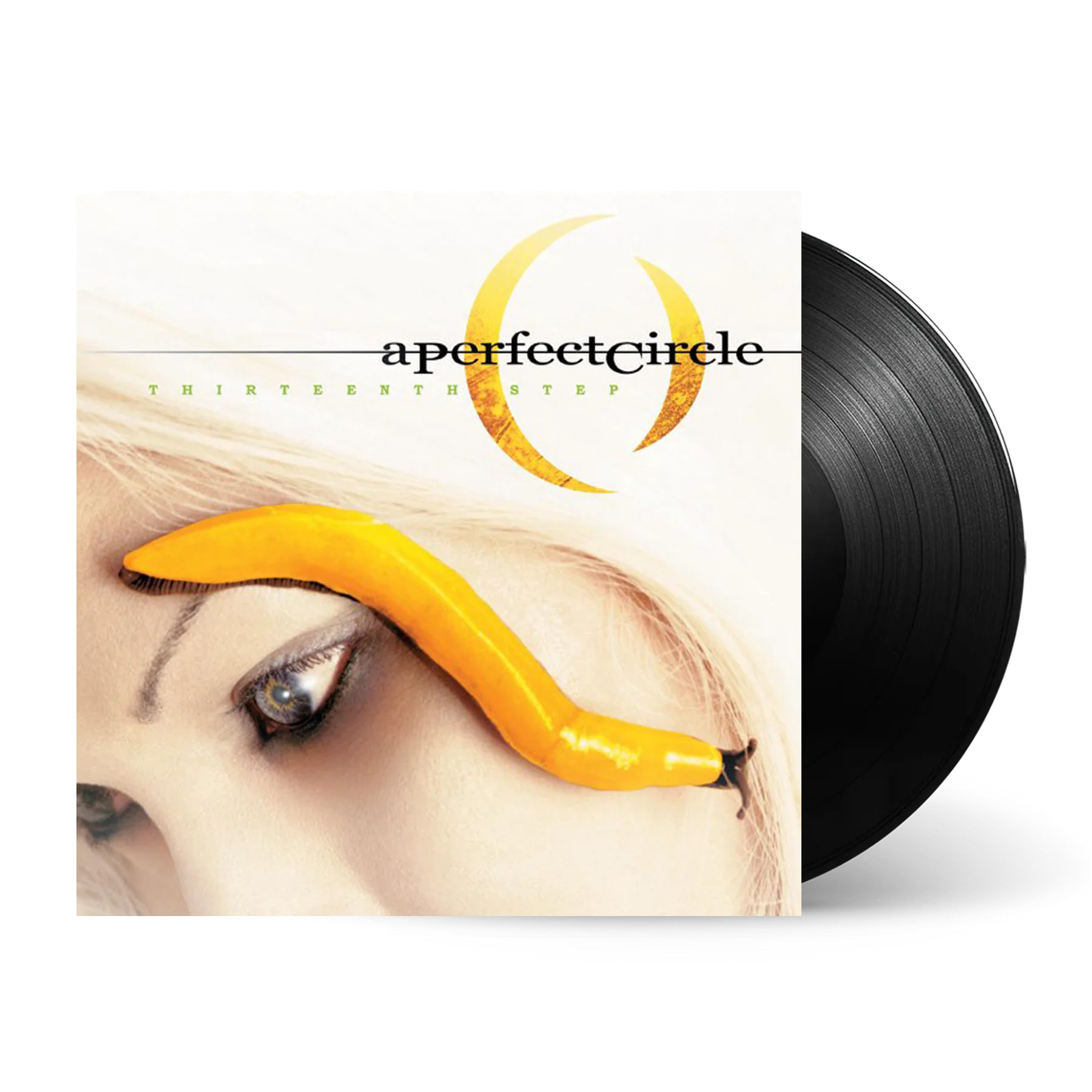 Thirteenth Step: Vinyl LP