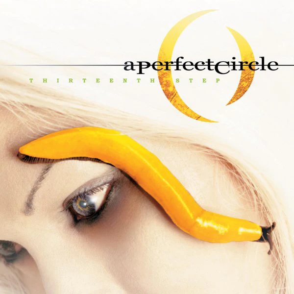 Thirteenth Step: Vinyl LP - Image 2