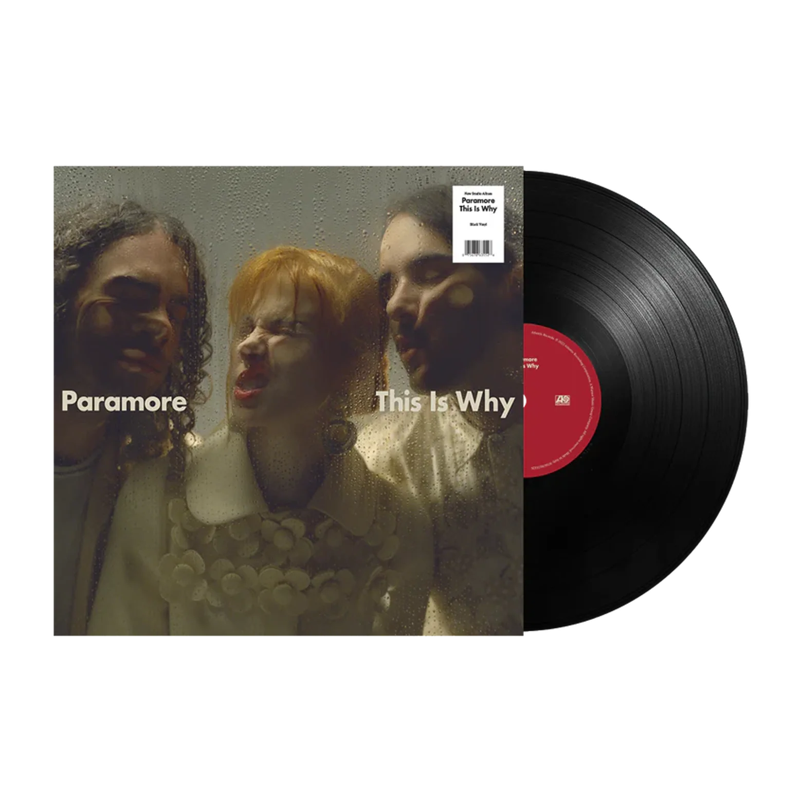 This Is Why: Vinyl LP