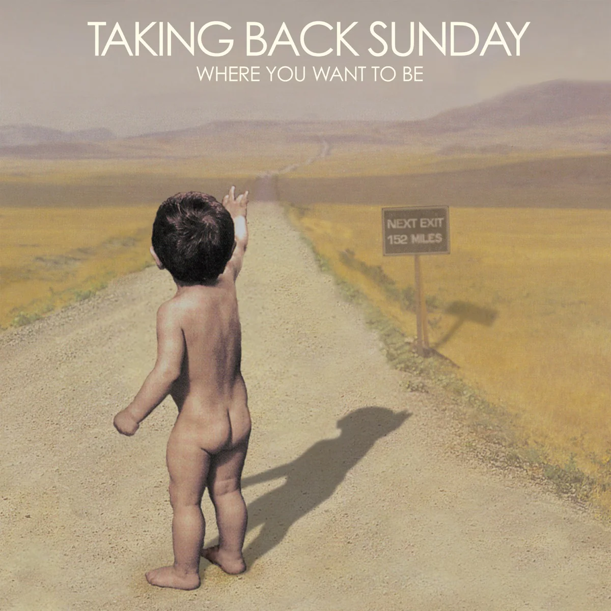 Where You Want to Be: Limited 'White & Tan' Vinyl 2LP - Image 2