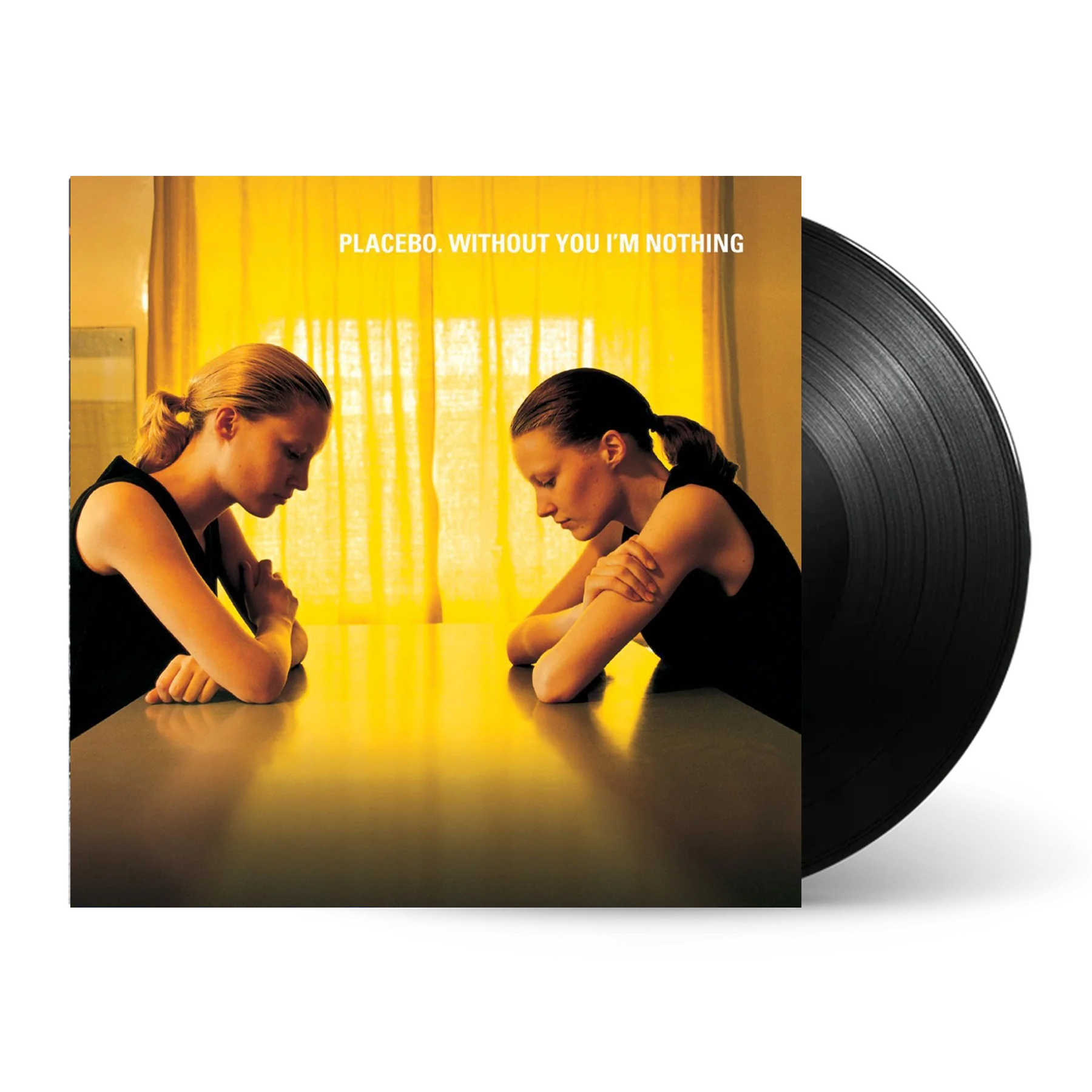 Without You I'm Nothing: Vinyl LP